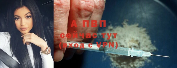 хмурый Ладушкин