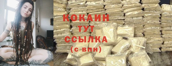 хмурый Ладушкин
