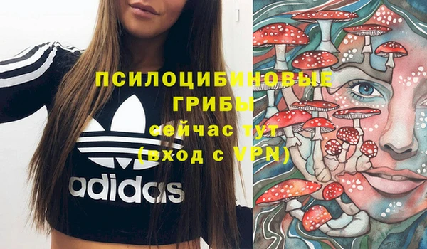 хмурый Ладушкин