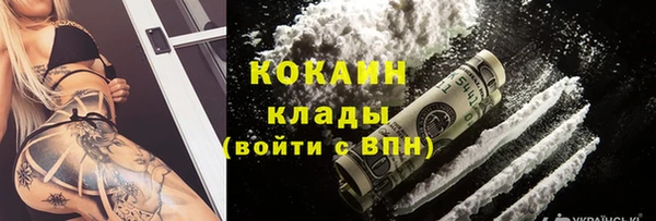 хмурый Ладушкин