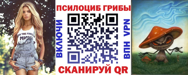 Купить где  Усть-Джегута  Псилоцибиновые грибы Psilocybe 